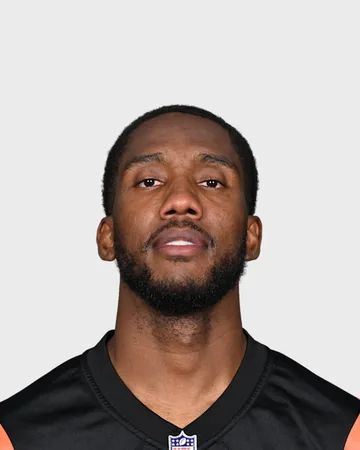 Josh Johnson, Cincinnati Bengals QB
