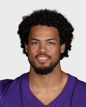 Michael Briscoe, Minnesota Vikings WR